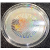 Image 6 : 2003 Silver Maple Leaf Hologram Fine Silver Set