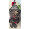 Image 4 : Healthy & Happy House Plants w/ 3 Decorative Bird Cages 14T