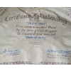 Image 5 :  Limited Edition "The Firebird" Plate, 10" Diameter in Box w/ Certificate of Authenticity 