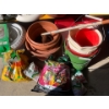Image 4 : Gardeners Collection - Planters, Tools, Hosing, and More! 