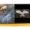 Hunters of the Sky - 1 oz. Pure Silver Bald Eagle 
