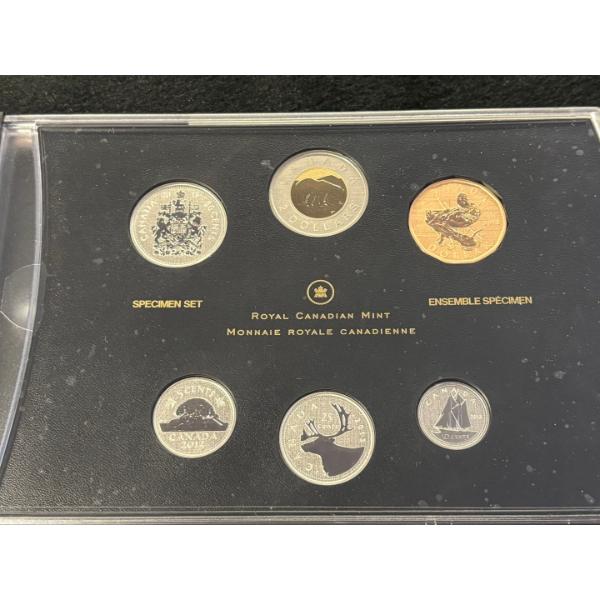 2013 Specimen Set: Blue-winged Teal