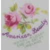 Image 4 : Royal Albert Bone China Plates: ‘Blossom Time’ and ‘American Beauty’