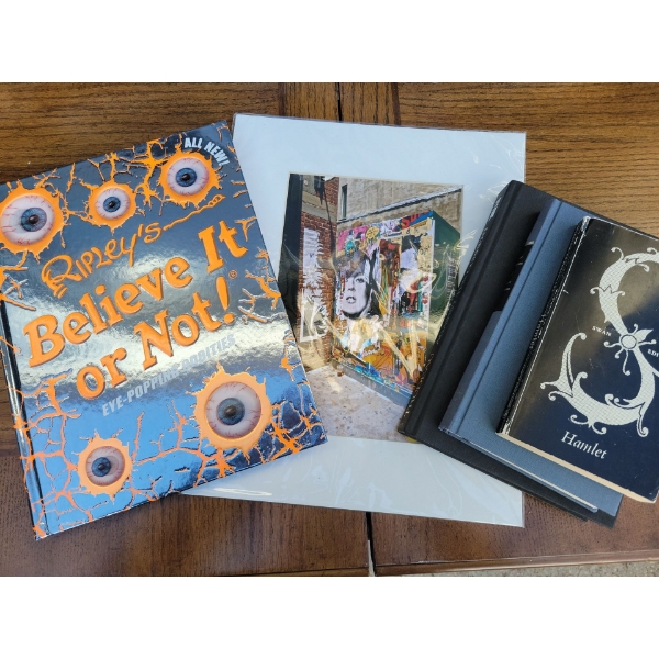 Unframed Art Print Graffiti Wall w/ Assorted Easy Reads 