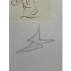 Image 3 : Salvador Dalí Lithograph, "Reflection" of "Cycles of Life" Set - Number 1/300 - Frame 22.5x23
