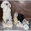 Image 2 : Poodle Figurines Collection