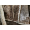 Image 7 : Vintage Sheepskin 