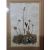 Image 2 : Untitled Dried and Dyed Wild Flowers, Artist: Mary Koonookoochook, Framed Under Glass 12 X 15 