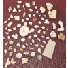Image 4 : Coral and Fossil Fragments