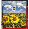 Image 5 : Canada 95 The Collection of 1995 Stamps Book