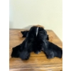 Image 11 : Furs - Baby Suit, Neck Warmer, Hats, and More 