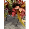 Image 6 : Yard Decor Dogs (13T), Tarps, and More 