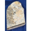 Image 7 : Large Fern Fossil