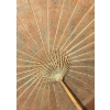 Image 7 : Rain Repellers - Umbrella Collection