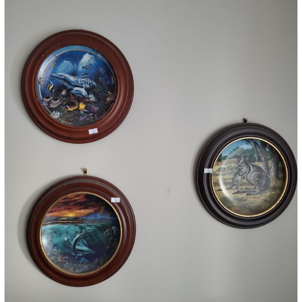 Decorative Plates in Wooden Frames X 3, Including Frame 11" Diameter 