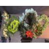 Image 12 : 17 Foot Artificial Pine Garland With Decorative Stems and Wreaths