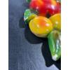 Image 4 : Chalk Fruit, Cluster of Apple, Peaches, Apricots, Plums and Grapes 10H