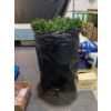 Image 1 : Four Foot Artificial Christmas Tree With Lights
