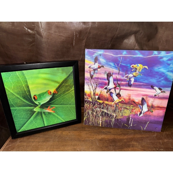 3D Pictures of a Frog and Birds