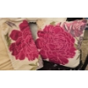 Image 3 : Throw Pillows with Floral Accent and Beauty Device Set