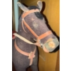 Image 6 : Autographed Roy Rogers Headshot w/ Collectible Antique Child's Rocking Horse
