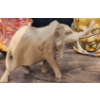 Image 9 : Lot: Leaf Dishes, Elephants, and Head