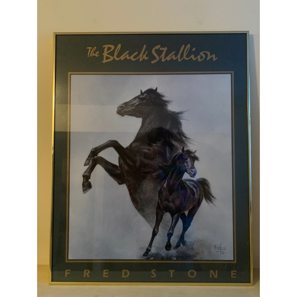 Black Stallion Art Print 22x28