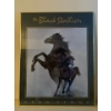 Black Stallion Art Print 22x28