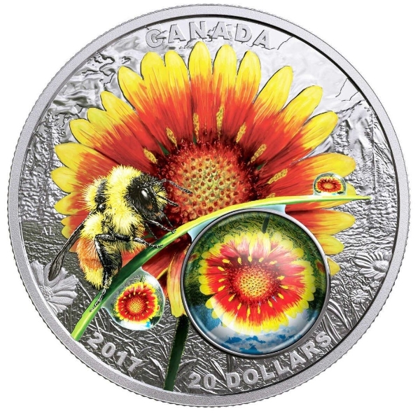 2017 $20 Mother Nature's Magnification: Beauty Under the Sun - Pure Silver Coin
SKU: 159265
