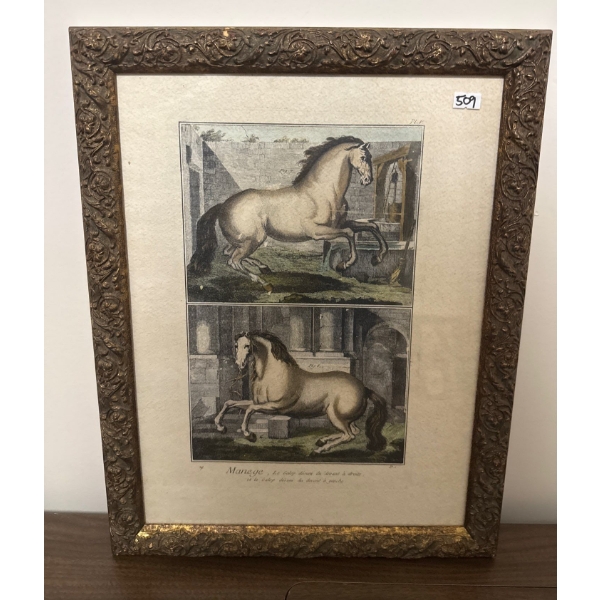 Antique Horse Art Prints 14 x 18