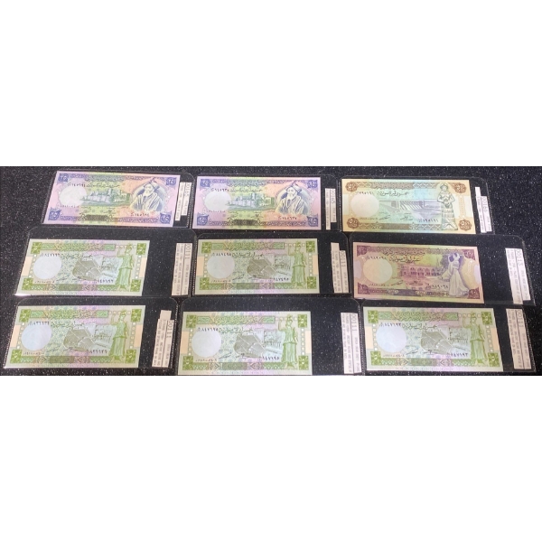 Collection of Syrian Paper Money