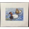 Image 2 : J. Fenwick Lansdowne "Canvasbacks in Spring" Signed Wildlife Habitat Canada Print