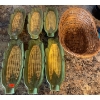 Image 3 : Summer Dining Essentials - Corn On The Cobb Trays Steak Knives Wooden Salad Set & More