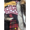 Image 2 : Assorted Fur Collars