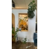 Image 5 : 7 ft Tall Real Umbrella Tree 