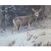Image 3 : Mule Deer in Snow by Robert Bateman Ltd Edition Print 999/2500 20 1/2 w 19 h