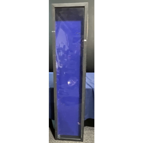 72 H - 16 W Guitar Display Case