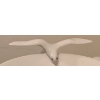 Image 3 :  LLADRO Porcelain 'Dove Cup w/ Sacuer' - 2.5T 