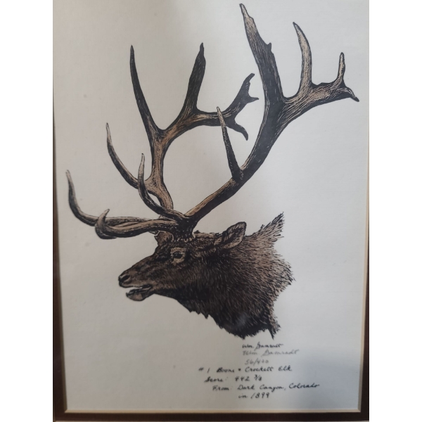 Wm. Gamradt Elk Painting 1899