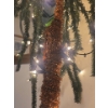 Image 2 : Light Up Palm Tree 74T Decor Not Included