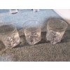 Image 5 : Glass Cups