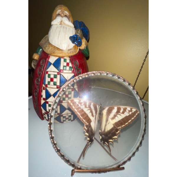 Heartwood Creek By Jim Shore w/ Holiday Figurine 10T Protographium Butterly 