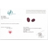 Image 3 : 3.8 ct Certified Pink Sapphire gemstone Pair ($5,300 Appraisal)