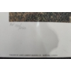 Image 6 : AP 133/250 "Shadows and Memories" James Lumbers 28 X 21, 228/375 "White Empiry" O K Schenk 25.5 X 22