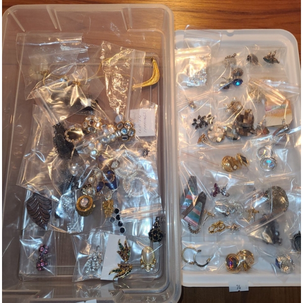 Assorted Women's Costume Jewelry: Large Selection of Earrings