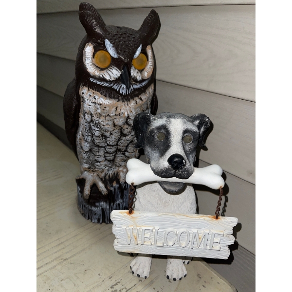 Two Outdoor Decoys Or Welcome Pets to Keep The Pests Away -- Welcome Porch Dog & Owl