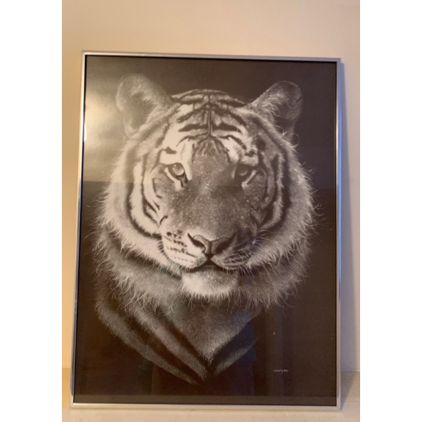 Tiger Head Shot by Prince Chaplen 18x24