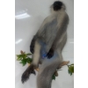 Image 4 : African Monkey 16W x 10D x 42T