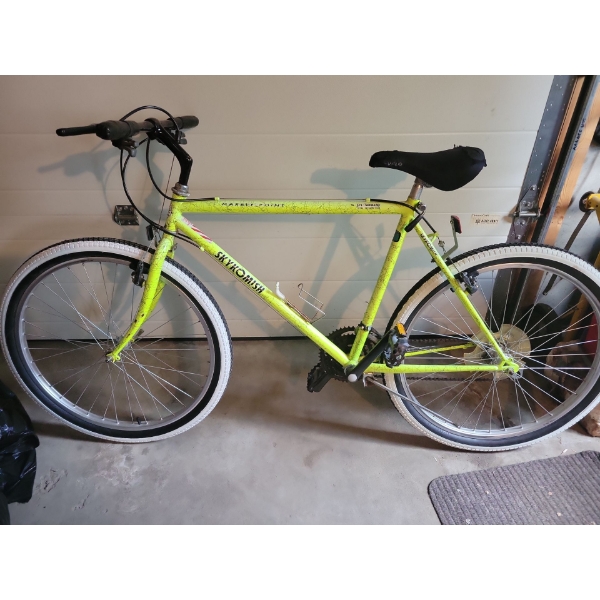 SKYKOMISH Marble Point Bicycle w/ Unique Tires