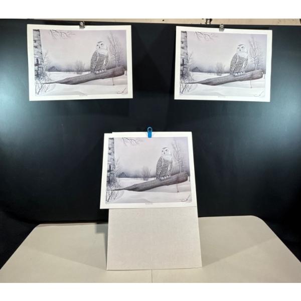 Alex Halliburton 3 Copies of Down from the Tundra 16Tx22W